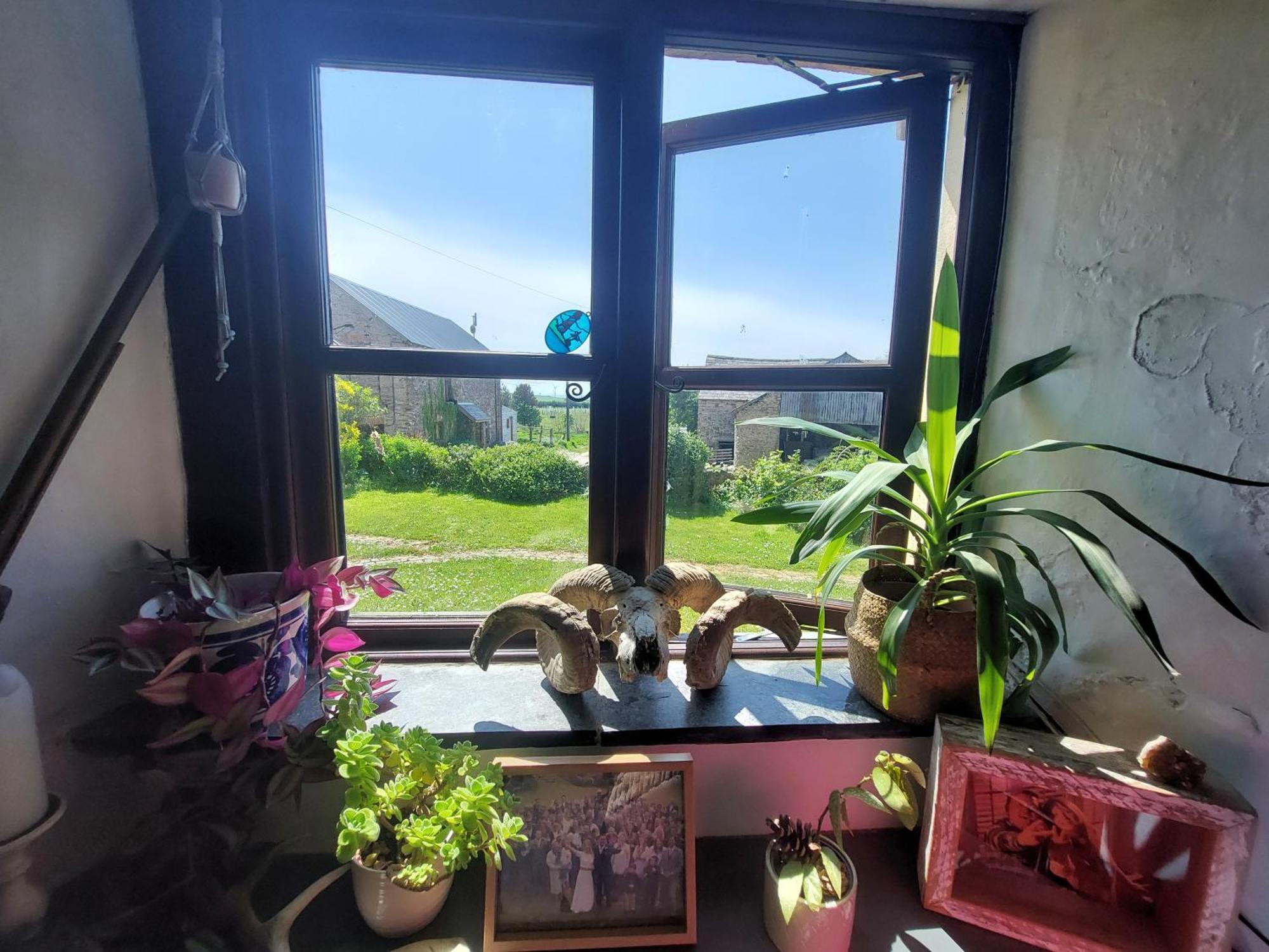 Rural Historic Farmhouse - A Peaceful Escape West Down Екстер'єр фото